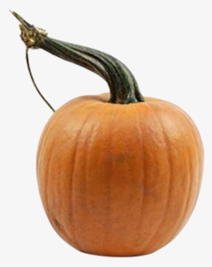 Mini Pumpkins - Pumpkin