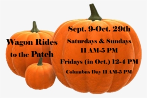 Website Wagon Rides Hours - Pumpkin
