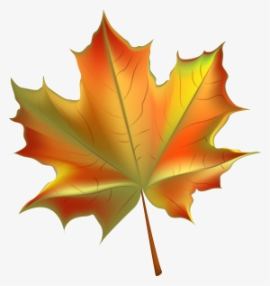 Beautiful Autumn Leaf Transparent Png Clip Art Image - Autumn Leaf Clipart