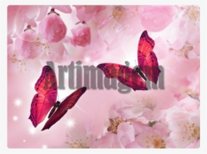 逍遙遊‧莊子【典藏新版】