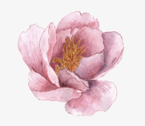 Png De Ornamento Transparente Para O Mosaico Do Imperador - Watercolor Painting