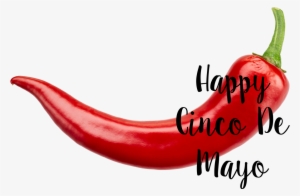 Happy Cinco De Mayo - Red Chilli Pepper Transparent