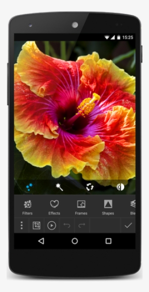 Photo Studio Pro Apk - Hawaiian Hibiscus