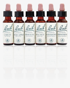 Conheça Os Benefícios Dos Florais De Bach - Flores De Bach Originales Fb Vervain 20ml. (bach Flowers)