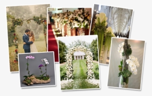 Curso Arranjos Florais - Homeshopz Adorox 7.5 Ft Lightweight White Metal Arch