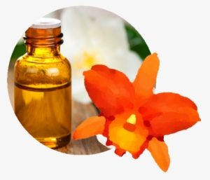 Florais De Bach - Essential Oil