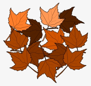 Maple Leaf Clipart Small Leaf - Dead Leaves Clipart