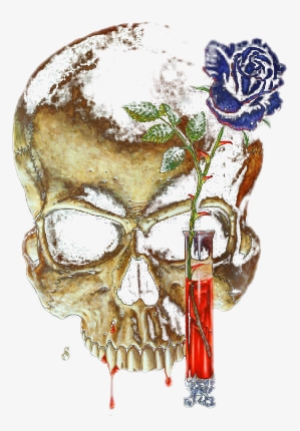 Skeletons Skulls - Skull