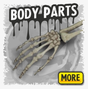 Body Parts A Skeletons Decor - Skeleton