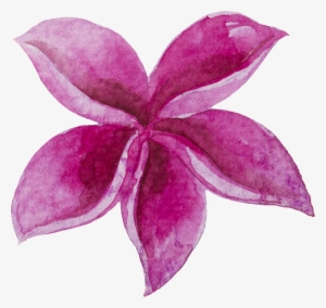 Watercolour Watercolor Sticker Ftestickers Flowers - Watercolor Painting