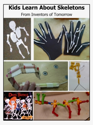 Skeletons - Inventor