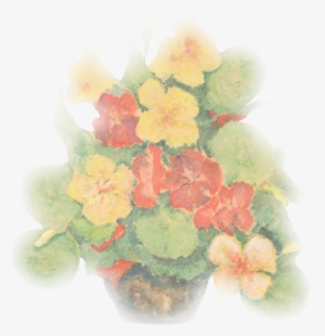 Nasturcje - Artificial Flower