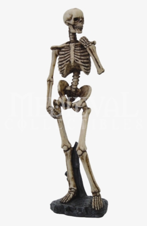 Skeleton - Michelangelo David Skeleton