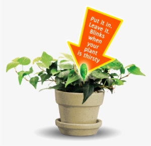 Intuitive Plant Moisture Sensor - Houseplant