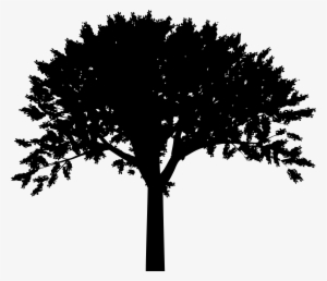 Free Clipart Tree Silhouette