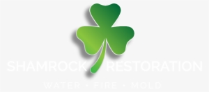Since Its Establishment, Shamrock Restoration Has Become - Shamrock