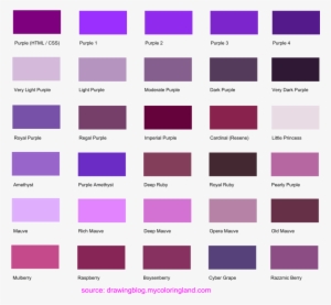 Shades Of Purple Color - Purple Colour Code In Photoshop - 1024x946 PNG ...