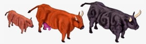 Cattle