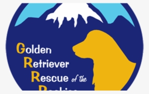 Santa Hat Png Clipart Best Web Golden Retriever Breeders - Bambi Molesters Play Out