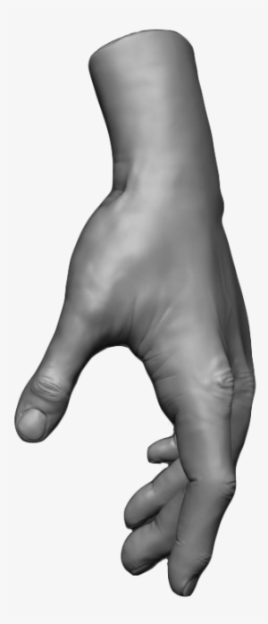 By Marie-claire Gagnon - Manatee