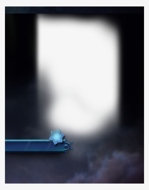 Wolf Pup Of Icewrack - Still Life Photography