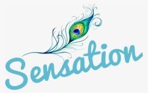 Sensation Digital Marketing Services - Advertising