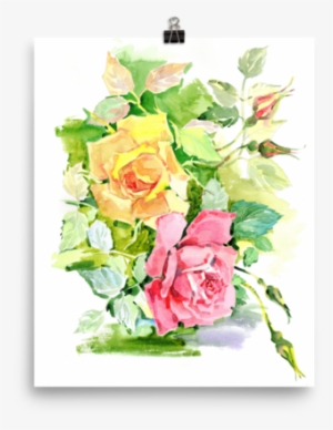 Bright And Floral Rose Watercolour Print Matte Poster - Watercolor Painting