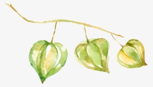 Watercolour - Portable Network Graphics