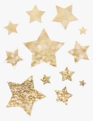 Click And Drag To Re-position The Image, If Desired - Camiseta Premium