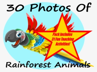 World Earth Day - Parrot