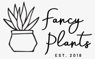 Founded By Suni Johnson, Fancy Plants Is A Small Town - Calligraphy