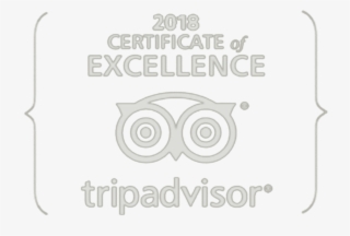 Recognitions - Circle