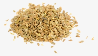 Oat Bran Png High-quality Image - Carrot Seed Png