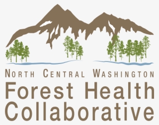 North Central Washington Forest Health Collaborative - Tree