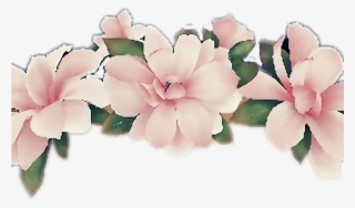 Flower Flowercrown Snapchatfilter Snapchat Pink - White Flower Crown Png