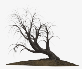 Free Png Download Creepy Trees Png Images Background - Creepy Tree Png