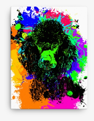 Poodle Colorful Splash Paint Canvas - Circle