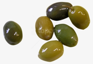 Free Png Download Olive Png Images Background Png Images - Olive Png
