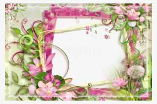 Free Png Best Stock Photos Pink And Green Flowers Png - Pink And Green Photo Frame