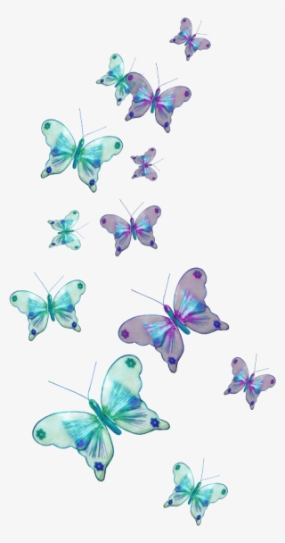 Mq Sticker - Blue Butterfly Hd Wallpapers 1080p
