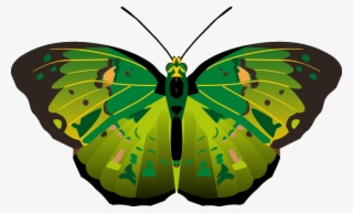 Butterfly Png Images - Butterflies