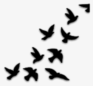 Pajaros Tumblr Png - Dibujos De Pajaros Volando