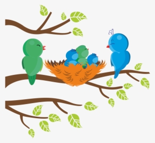 43 Cm De Ancho - Pajaritos En Rama Png