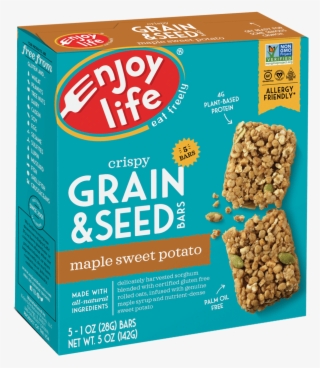 Grain & Seed Bars - Enjoy Life Gingerbread Cookies