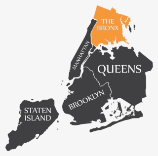 Dna Testing In The Bronx - Five Boroughs In New York
