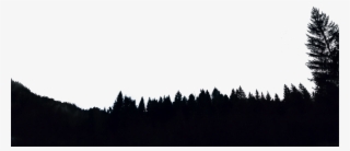 Parents Can Share Their Favorite Memories With Friends - Stars And Darkness