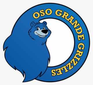 Elegant, Playful, School Logo Design For A Company - Deutscher Fussball Bund