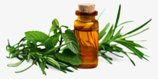 Essential Oils - Essential Oil