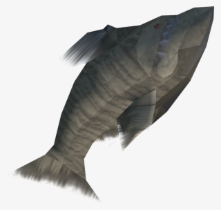 Stone Fish Is An Item Used In The Quest Druidic Ritual - Eagle