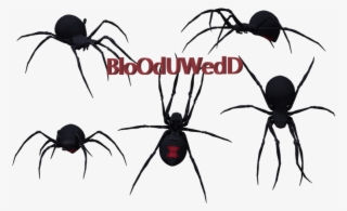 Spider Drawing Side View